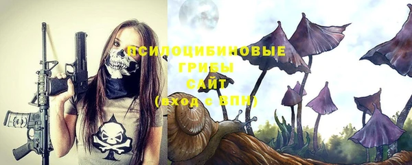 ешки Алексин